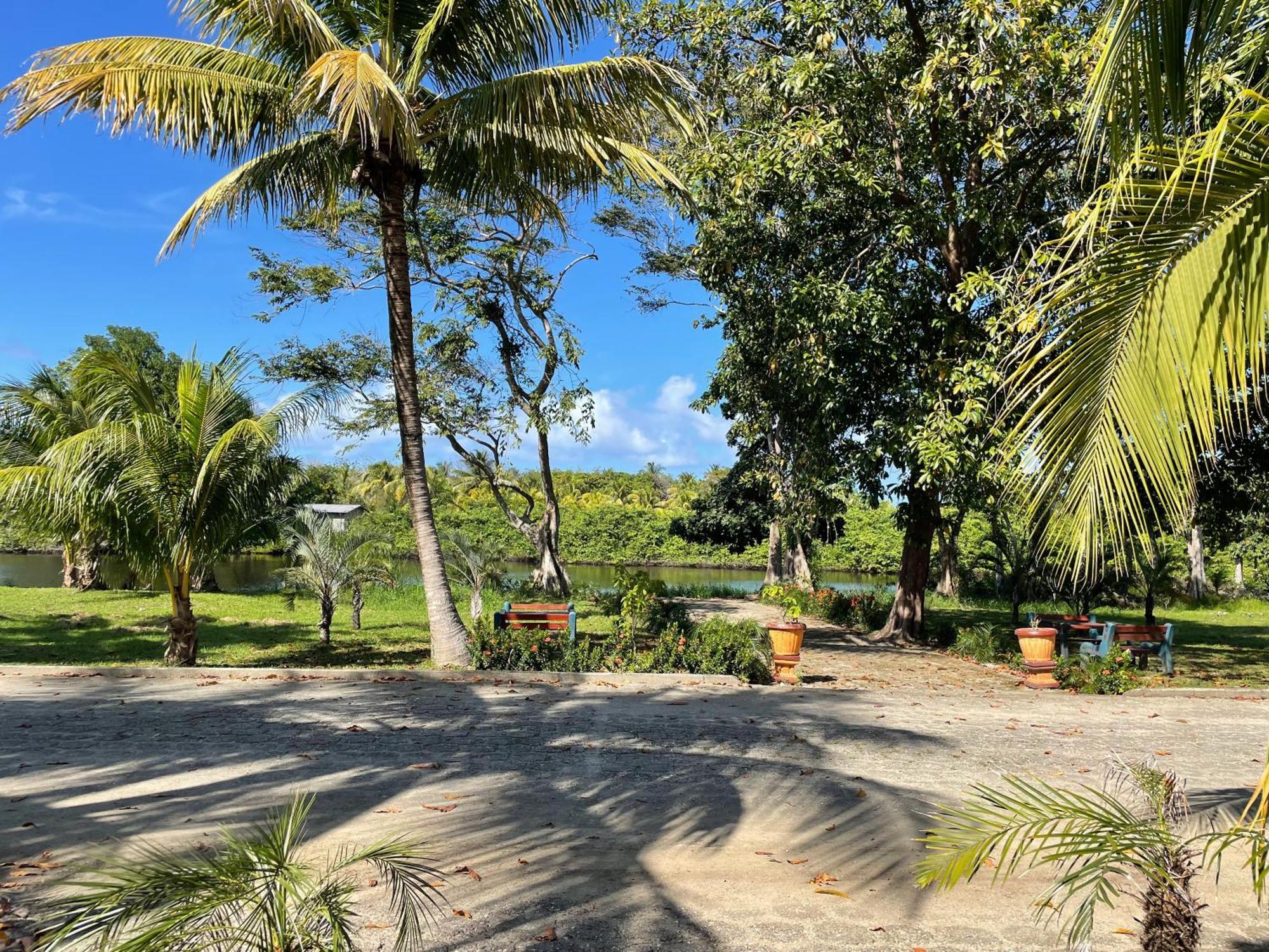 Honduras Shores Plantations تيلا المظهر الخارجي الصورة
